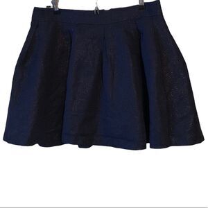 Banana Republic Navy Skirt 10P